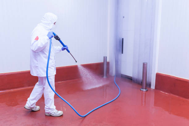 Animal Enclosure Cleaning in Fort Meade, FL