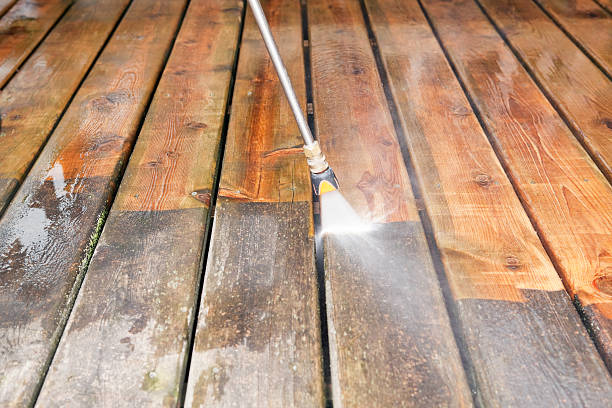 Best Gutter Cleaning  in Fort Meade, FL